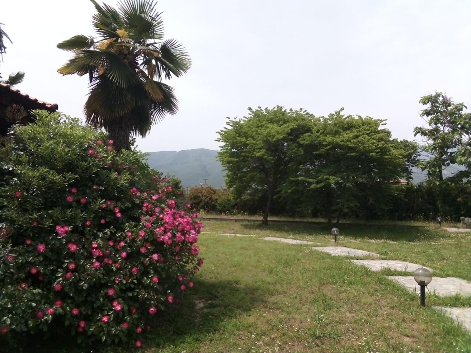 Villa Anna Leptokarya  Exterior foto